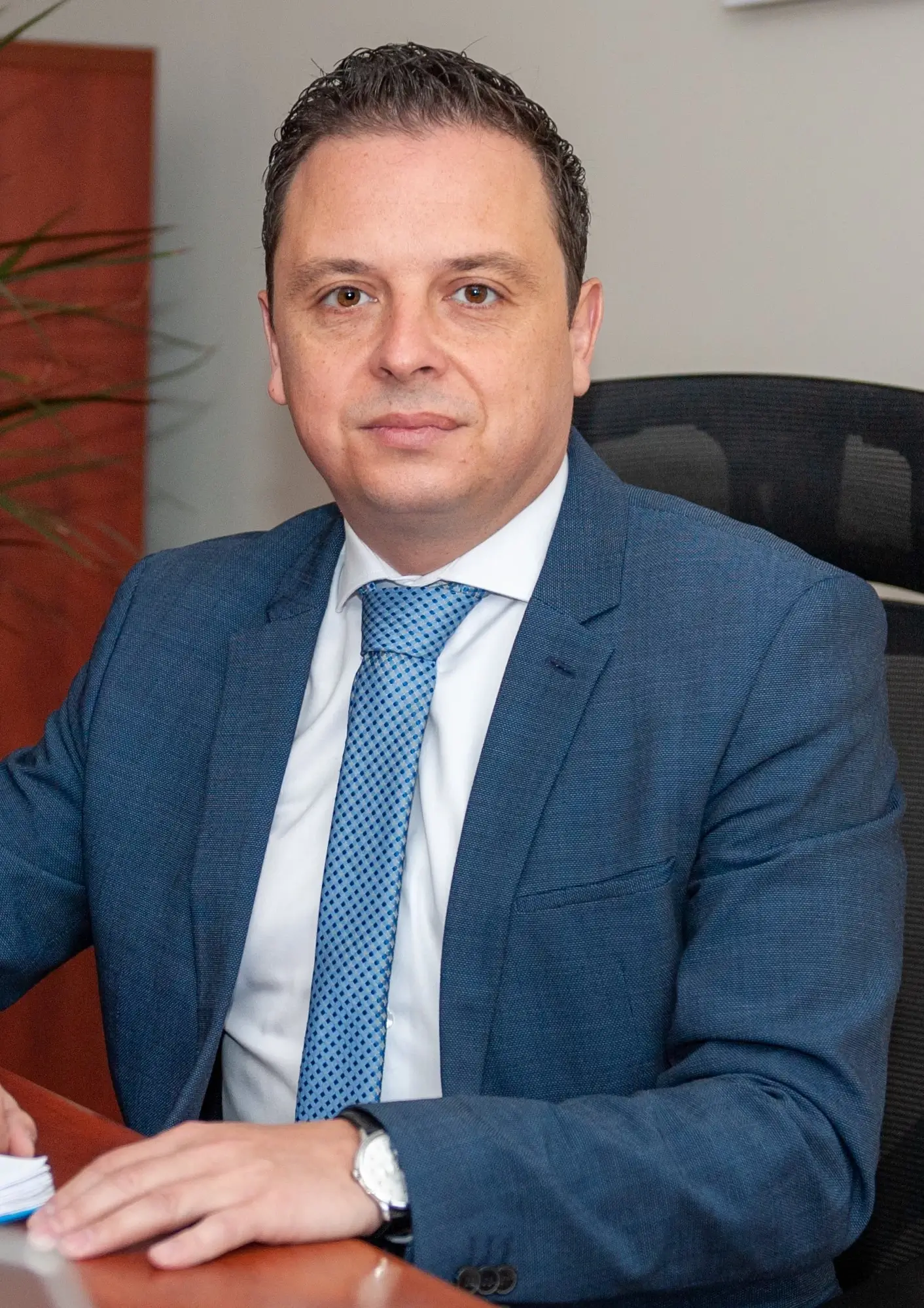 Victoriabank Мирча Аурсулесей